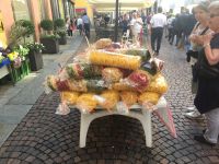 IMG_0799 - Kopie